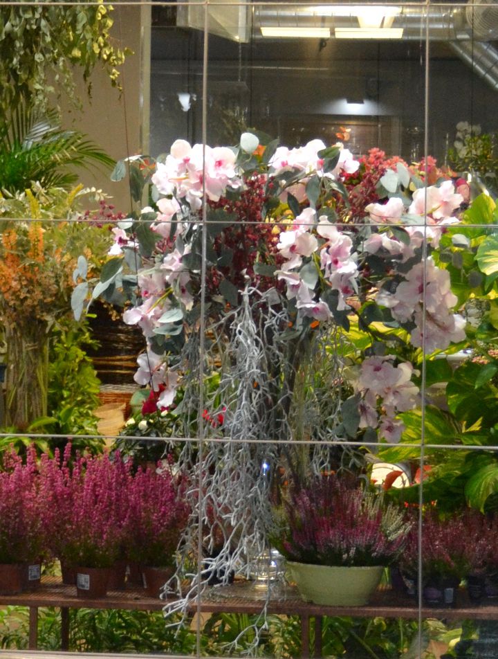 Odoo - Prueba 2 a tres columnas